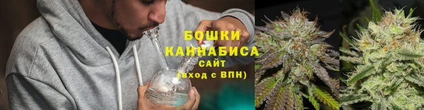 альфа пвп Бородино