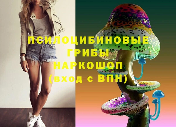 ГАЛЛЮЦИНОГЕННЫЕ ГРИБЫ Бронницы