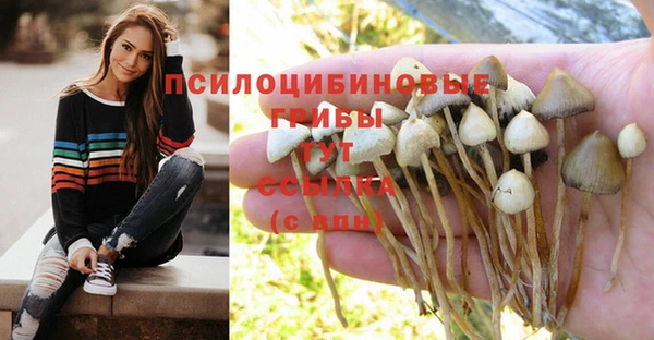 МДМА Осинники