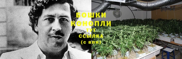 альфа пвп Бородино